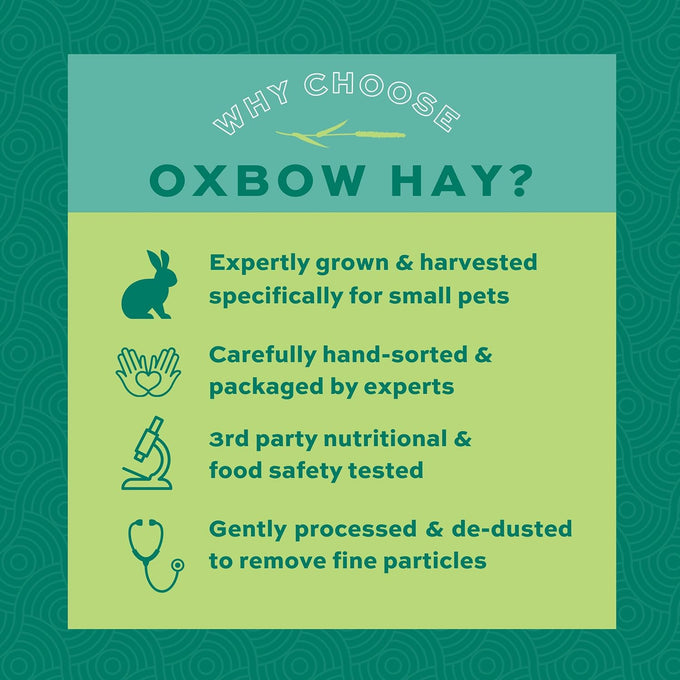 oxbow all natural orchard grass guinea pig hay, small pet rabbit supplies, premium quality, usa grown