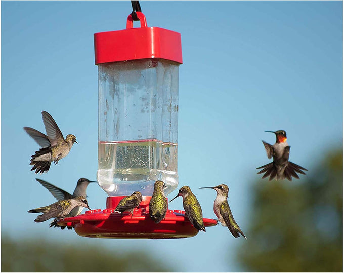 Kaytee 64-Ounce ElectroNectar Ready-to-Use Hummingbird Nectar Attracts and Nourishes Wild Birds
