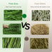 Timothy Hay 1.1LB natural green fresh food hay for rabbits tortoise guinea pig chinchilla dust free chemical free