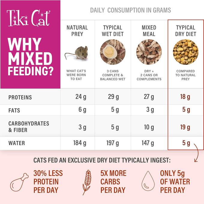 tiki cat born carnivore broths duck chicken recipe hydration supplement cat food topper 12 count