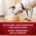 Purina ONE Tender Cuts Wet Dog Food Variety Pack - Chicken & Duck, Beef & Salmon