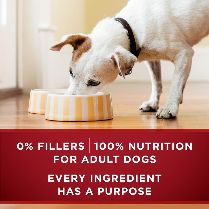 Purina ONE Tender Cuts Wet Dog Food Variety Pack - Chicken & Duck, Beef & Salmon