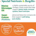 honest-to-goodness-plant-snacks-mellow-belly-pumpkin-cinnamon-dog-treats-enriched-with-omega-3s-and-postbiotics-8oz