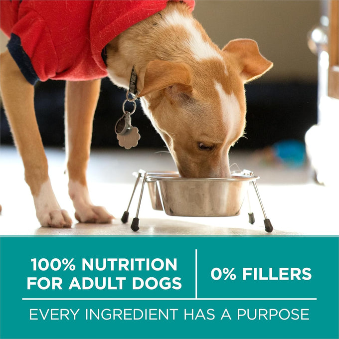 Purina One Plus Digestive Health Dry Dog Food - 31.1 Lb