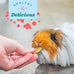 Oxbow natural science vitamin c supplement, high-fiber timothy hay, guinea pig items, us-made, small pet supplies, veterinarian-recommended
