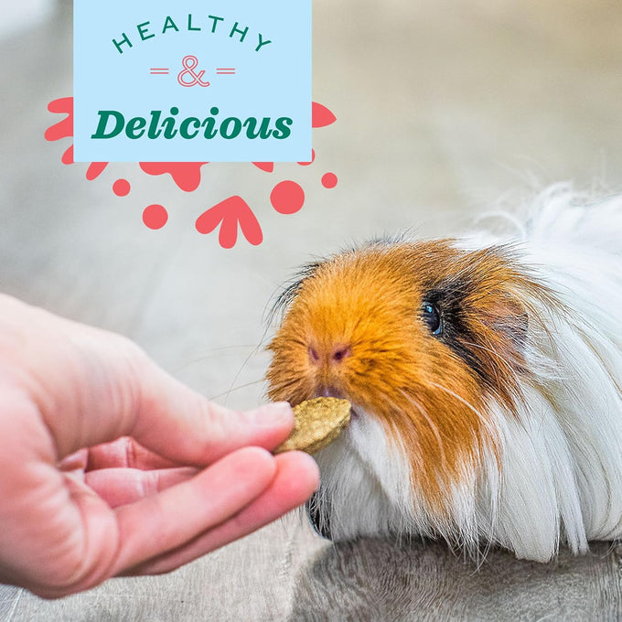 Oxbow natural science vitamin c supplement, high-fiber timothy hay, guinea pig items, us-made, small pet supplies, veterinarian-recommended
