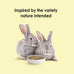 Kaytee food from the wild natural pet rabbit food, premium pellets, 4 pound, timothy hay, no added sugar