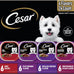 Cesar Wet Dog Food Variety Pack, Breakfast & Dinner Flavors, 3.5 oz Trays