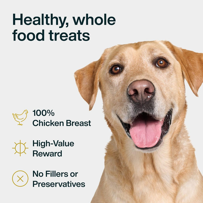 Just Food for Dogs Human Grade Chicken Breast Jerky Treats, Single Ingredient, Grain Free, Low Calorie, Rawhide Free, 5 oz
