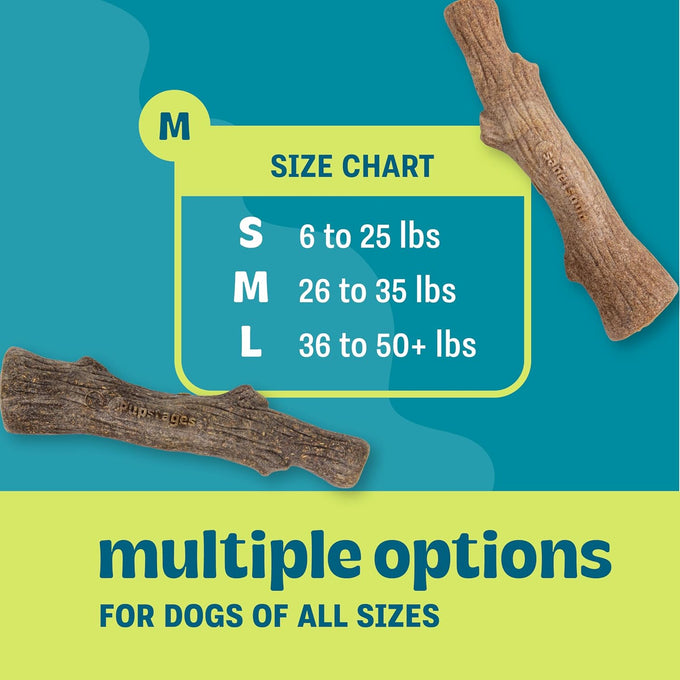 Pupstages Real-Wood Blend Dog Chew Toy for Moderate Chewers, 2-Pack, Medium, 7.5" (Natural & Hemp Flavors)