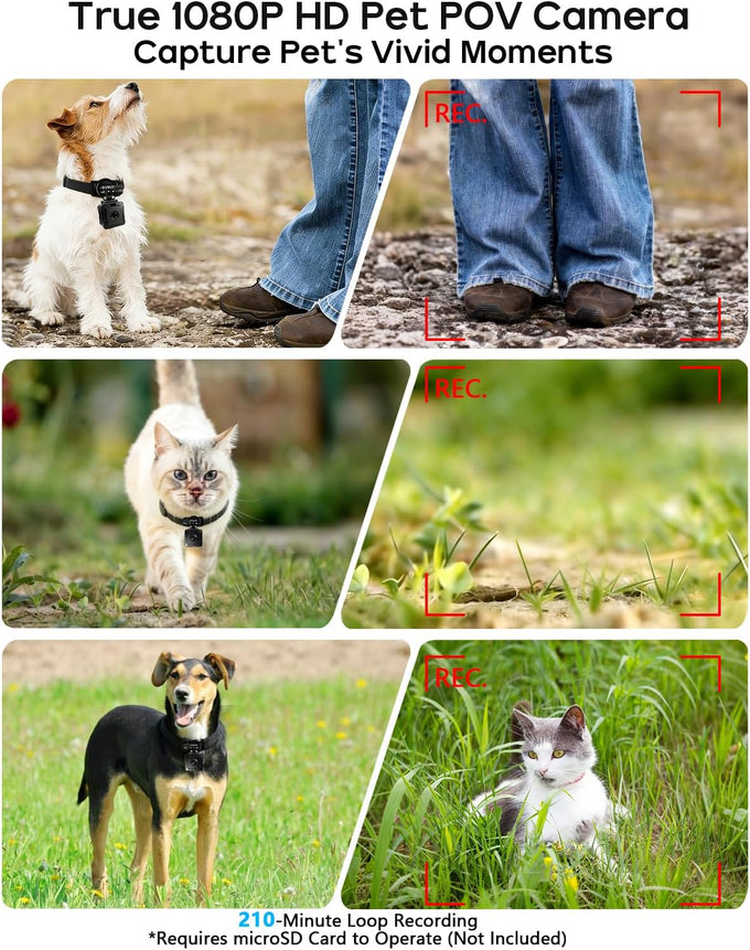 aez pet camera collar with app control, 1080p hd pet pov camera for cats dogs kids outdoor use