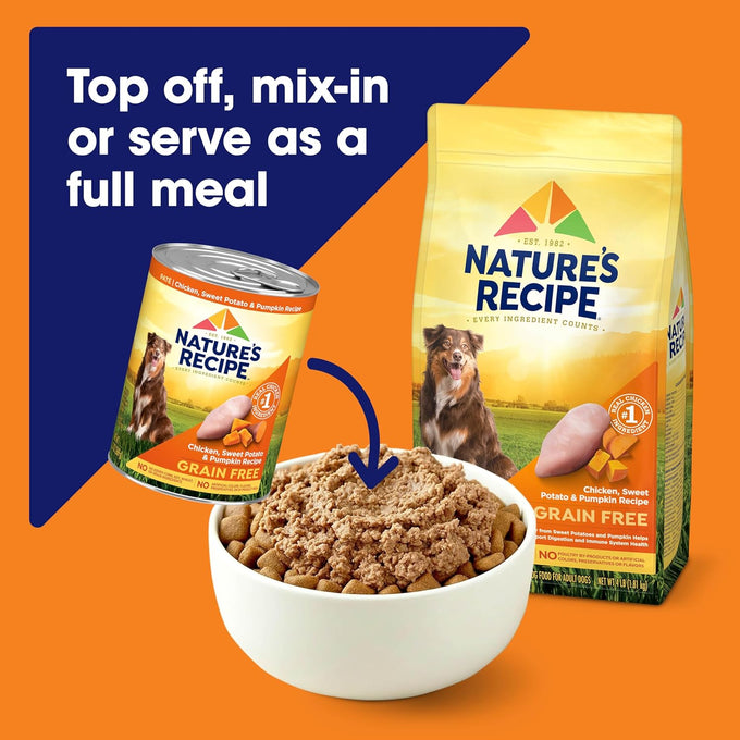 Nature's Recipe Grain Free Wet Dog Food, Salmon & Sweet Potato, 13oz Can
