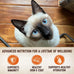 wellness-core-tiny-tasters-pate-adult-wet-cat-food-natural-protein-rich-grain-free-duck-recipe-pack-of-12-pouches