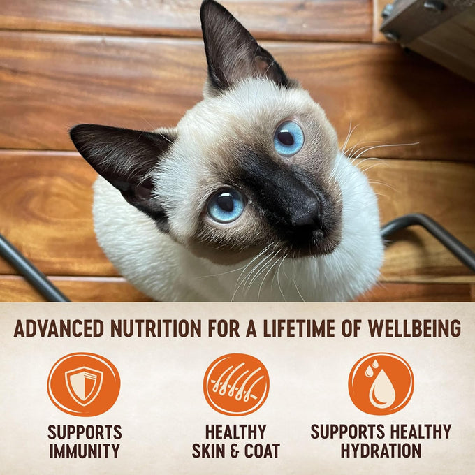 wellness-core-tiny-tasters-pate-adult-wet-cat-food-natural-protein-rich-grain-free-duck-recipe-pack-of-12-pouches