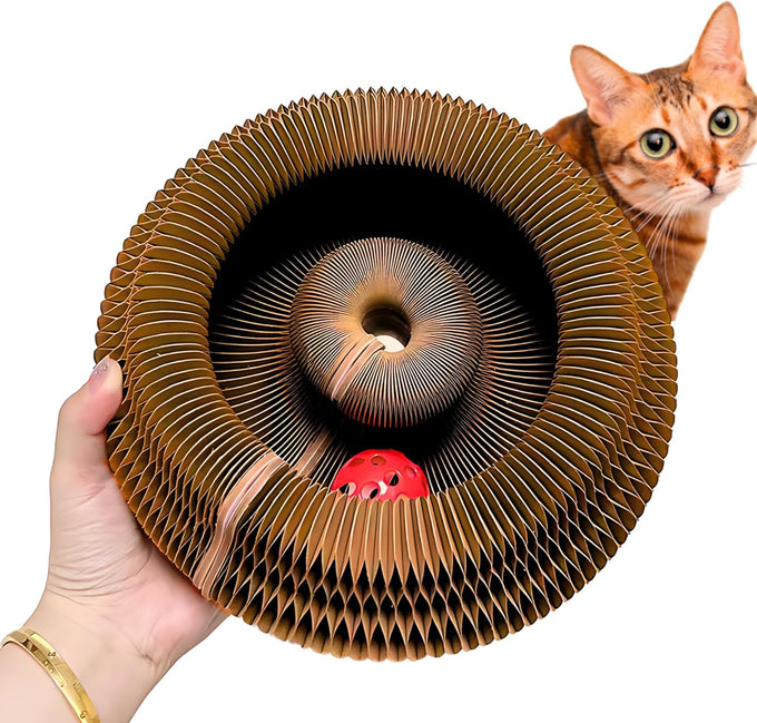 Kitty Kurlz 3-in-1 Cat Toy & Scratcher, Collapsible Ball Track with Bell, Reversible Cardboard Lounge for Indoor Cats