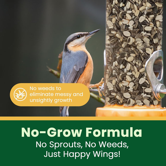 Happy Wings 5lb No Grow Songbird Bird Seed Mix with Sunflower, Safflower & Peanuts for Outside Feeders