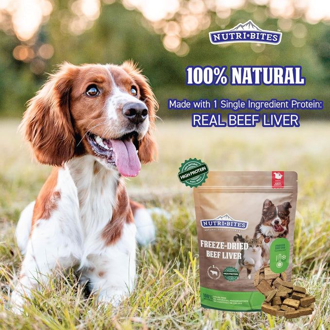 Nutri Bites 100% single ingredient beef liver dog and cat treats, high protein, 17.6 oz