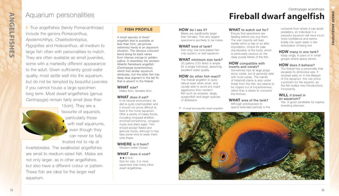 What Saltwater Fish: A Comprehensive Guide for Aquarium Enthusiasts, March 10, 2023, Paperback