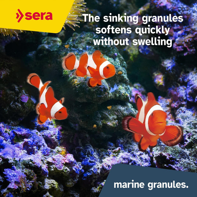 sera Marine Granules Nature Staple Food 3.5oz for Saltwater Fish Dye-Free Preservative-Free with Marine Algae Spirulina & Krill