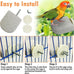 pinvnby 4-piece bird perch stands for small to medium parrots, cockatiels, lovebirds, conures, and finches