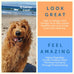 A Better Dog Food Chicken Dry Dog Food Raw Freeze Dried
