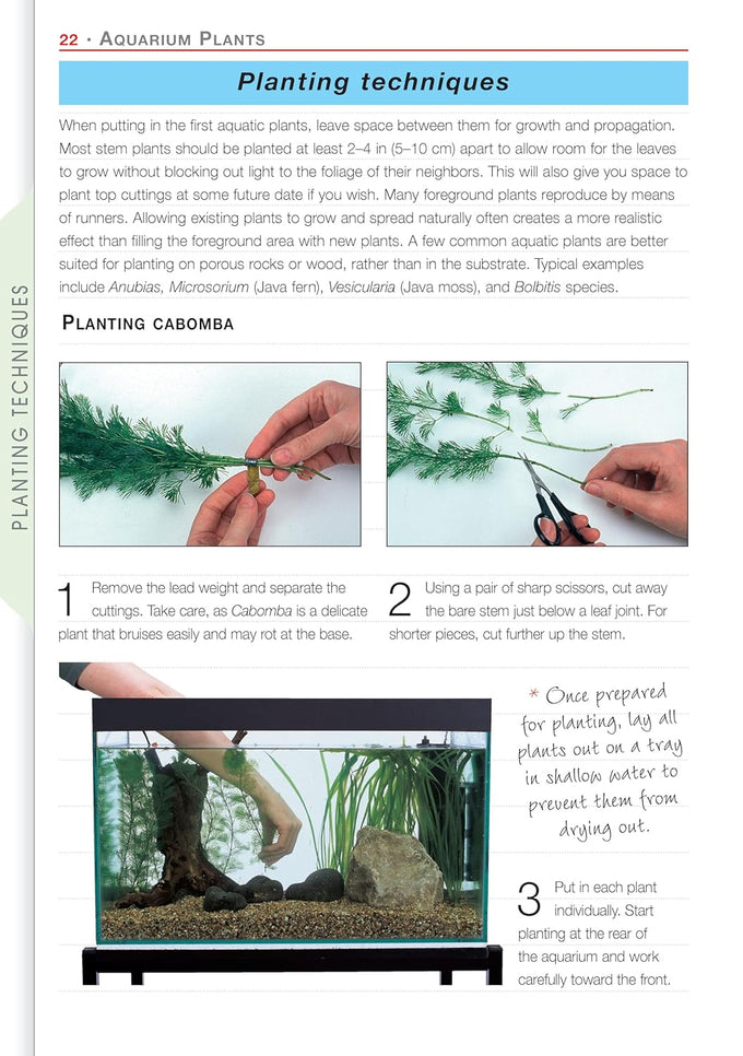 companionhouse-books-aquarium-plants-essential-guide-paperback-2004