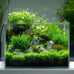 Vimvins 3 gallon frameless glass fish tank for betta, goldfish, snails, shrimp and aquatic planting