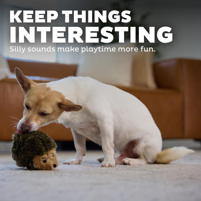 Outward Hound Hedgehogz Soft Plush Hedgehog Squeaks Dog Toy 6" x 4" x 4.5" available in multiple sizes