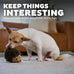 Outward Hound Hedgehogz Soft Plush Hedgehog Squeaks Dog Toy 6" x 4" x 4.5" available in multiple sizes