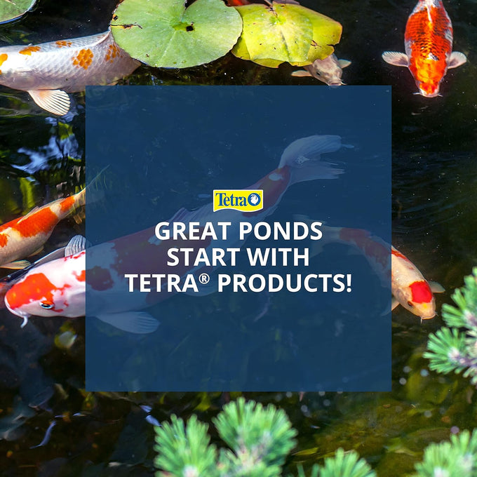 TetraPond Spring And Fall Diet 7.05 Ounces floating fish food for goldfish and koi