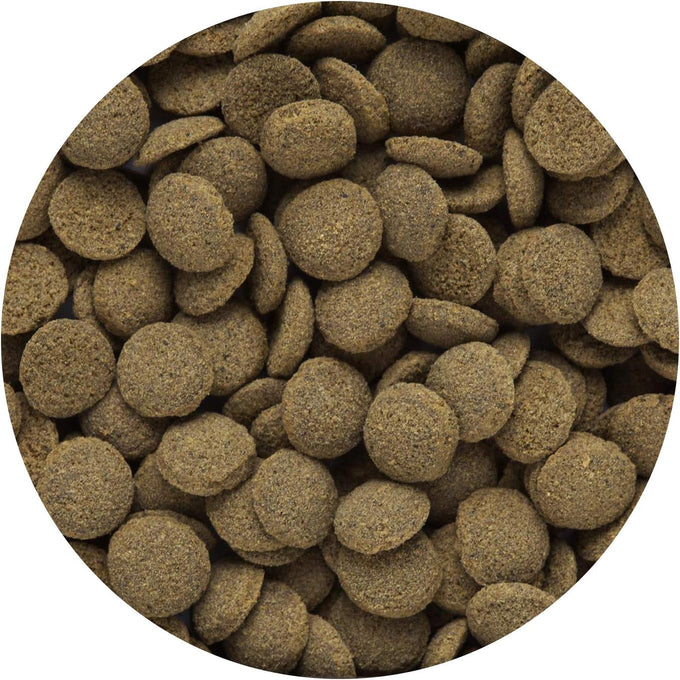 Hikari sinking wafers for corydoras catfish and loaches, 1.76-ounce, vegetable matter, spirulina, silkworm, krill