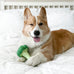 Nylabone Broccoli Power Chew Toy for Large Dogs, Bacon & Cheese Flavor, Up to 50 lbs