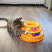 Catstages 3-level track tower with 6 balls, interactive cat toy for indoor enrichment and stimulation