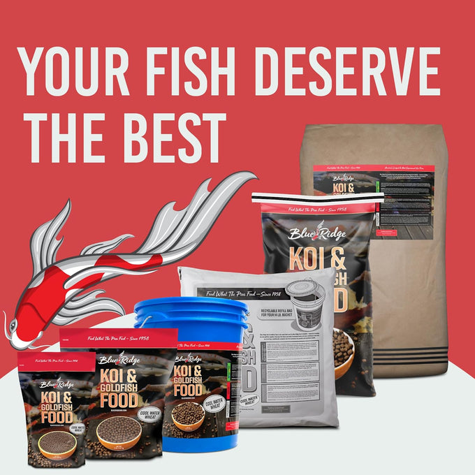 Blue Ridge Cool Water Wheat 3/16" Koi Fish Food 5lb - Fall and Winter Floating Pellets for Ponds