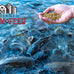 Premium floating pellets for pond and lake fish, 2 pounds, complete nutrition
