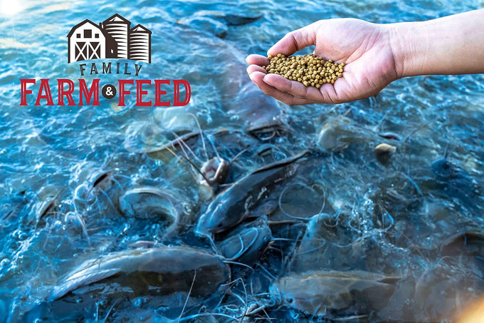 Premium floating pellets for pond and lake fish, 2 pounds, complete nutrition
