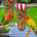 Kyouki parakeets toys, 2PCS bird chewing toys for cockatoos, conures, love birds and small parrots with natural materials, vibrant colors and easy-hang design