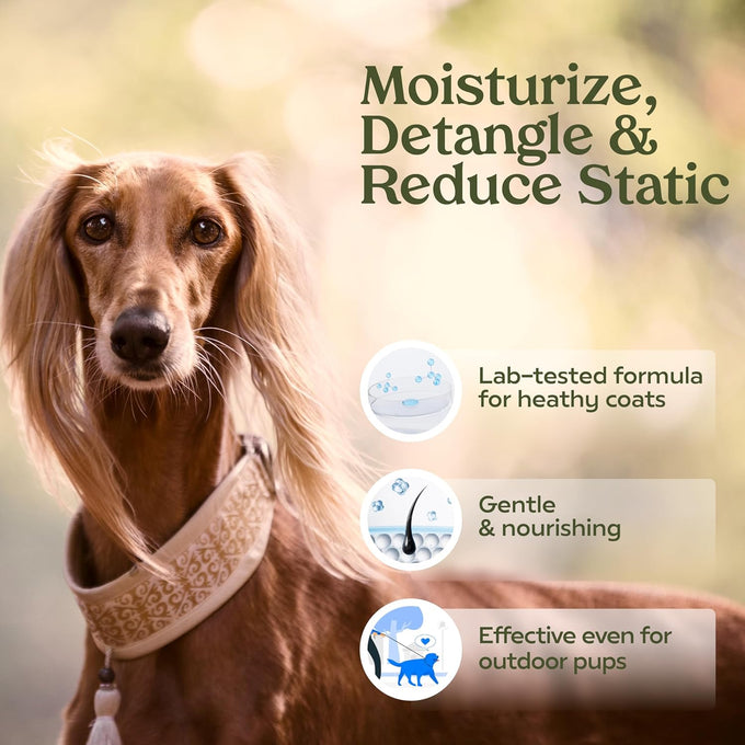 pawfume dog perfume spray long lasting scent for grooming show dog 1-pack hypoallergenic alcohol-free detangling formula moisturizing pet cologne spray