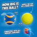 Chuckit! Ultra Squeaker Balls for Medium Dogs, Durable Rubber, Floating Water Pet Toys, Pack of 2, 2.5" Diameter