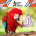 sweet-feet-and-beak-large-indestructibell-large-non-toxic-bird-cage-accessory-for-parrots-and-large-birds