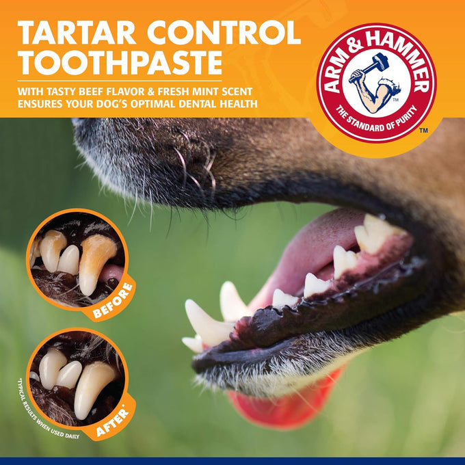 Arm & Hammer for Pets Tartar Control Dog Dental Kit with Enzymatic Toothpaste, 3-Piece Set for Puppies and Adult Dogs, Beef Flavor, Reduces Plaque and Tartar