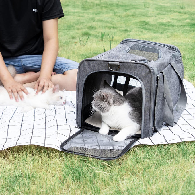 GAPZER Large Cat Carrier for Medium Big Cats, Soft-Sided, Washable, and Collapsible Pet Travel Bag