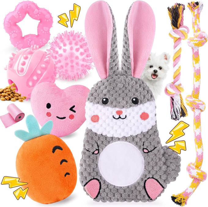 Zeaxuie 9-pack puppy toys bundle for small dogs, teething toys, squeaky plush and rope chew toys