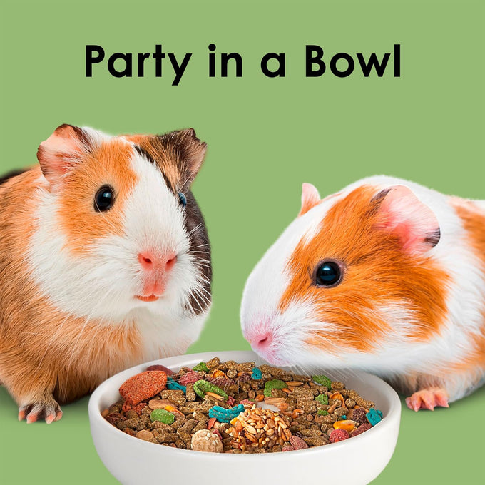 Kaytee Fiesta guinea pig food, 4.5 pounds, nutritious blend for dental health and digestion