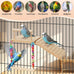 Wooden bird perches platform swing with climbing ladder for cockatiels, lovebirds, and small pets cage accessories