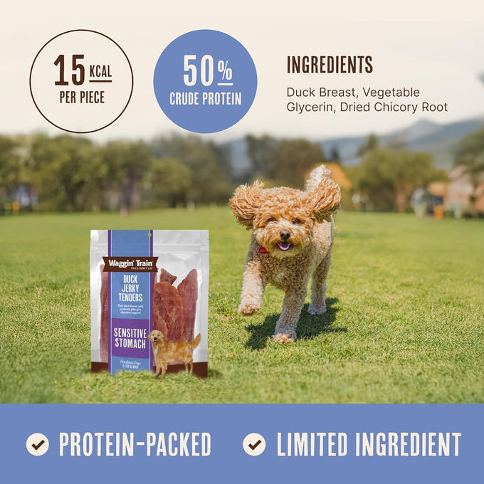 Waggin' Train 100% Real Duck Breast Jerky Dog Treats, 12 oz Pouch, High Protein, Sensitive Stomach Friendly
