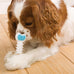 Hartz Chew 'n Clean Twisty Bone Dog Chew Toy, Bacon Scented, Extra Small for Moderate Chewers
