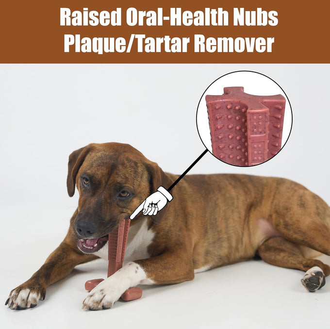 SPOT Bam-Bones Plus T Bone Bamboo Fiber Nylon Dog Chew Toy for Moderate Aggressive Chewers Durable Long Lasting Non-Splintering Beef Flavor 6 in