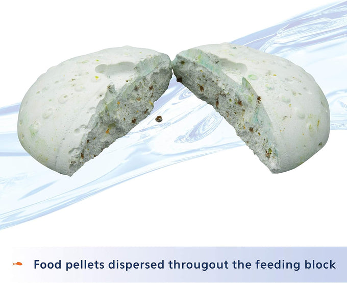 Aqueon 7 day tropical fish slow-release food for up to 6 medium-sized fish, 1 pack
