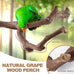 limio natural wood bird perch set for parakeets cockatiels conure budgies 6-piece